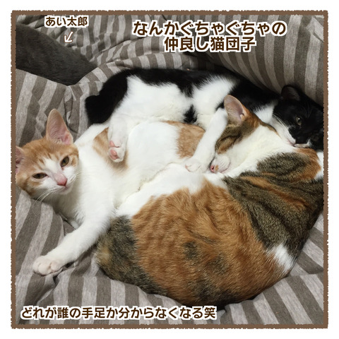 DA038BDF-134D-4E74-95E0-B8B815339753