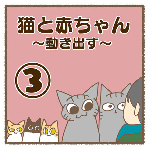 A08B691D-E394-4330-AC9C-F98811E2F1D5