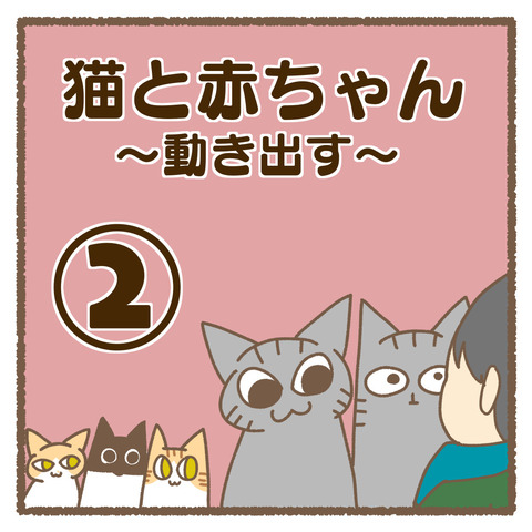 3830C8A4-06E3-453A-B7BC-3ACDF69C39F4