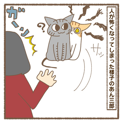 33008815-FD55-4B49-98AA-AEF737F055A0
