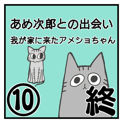 334A6E00-BE79-4A15-ADCE-F7FC2E216CC5
