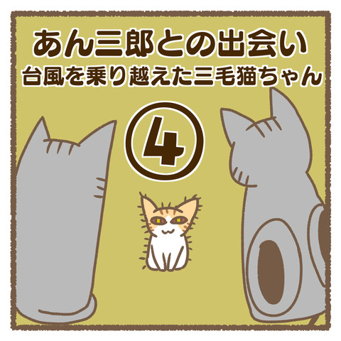 50D36C9A-87BB-4A18-A6B6-D87A5E8AD801