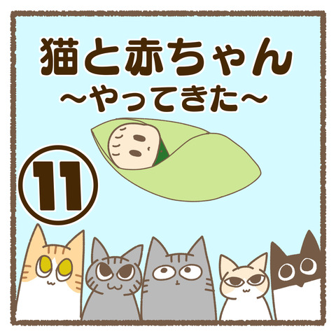 8B988C4F-0F7A-4CC5-8C06-7A37055AC8CF