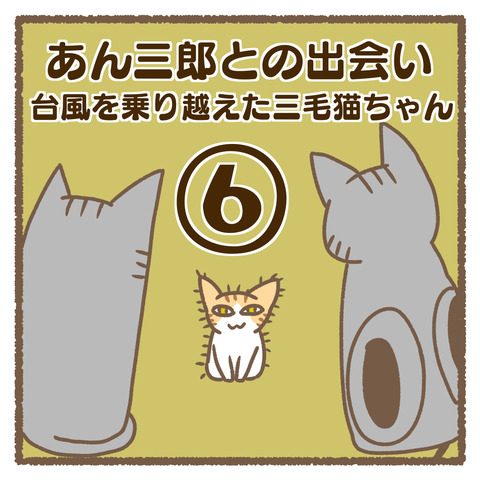 EE5B6333-5497-4EA2-9F88-7AADA81D033F