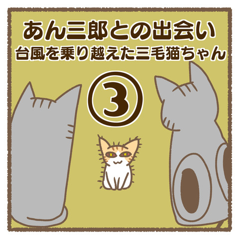 DC95D65D-4D5E-4F8D-8C91-78EE97FA0583