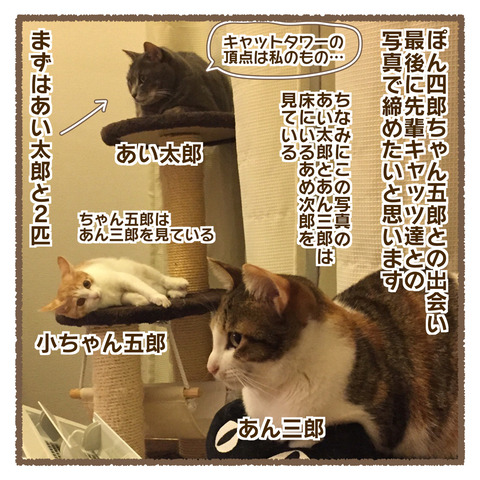 0C239EC6-5584-4B32-B0BA-C9C9504A5CD9