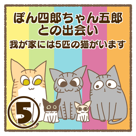 84320416-92BC-4E7E-A6F3-DDC558275EC1