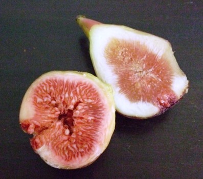 念願の 蓬莱柿 空豆グリーンブック