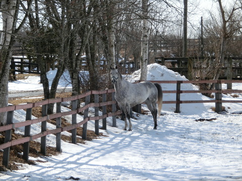 CIMG0295