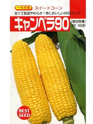 キャンベラ90