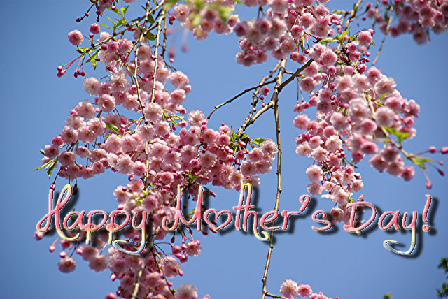 IMGP0596