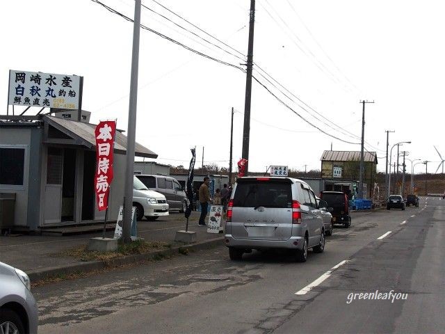 P5050008