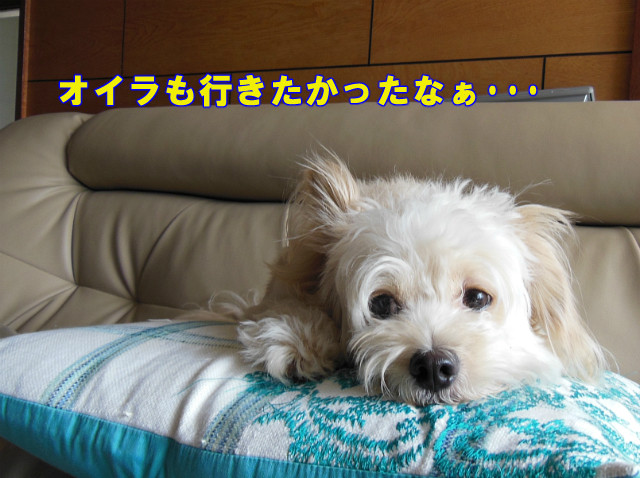 1DSCN0321
