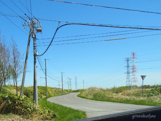 P5130039