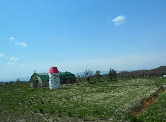 P5050003