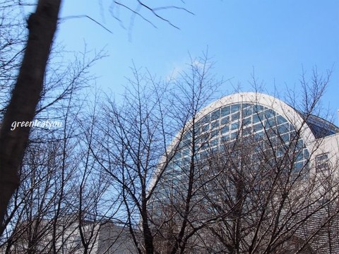 P4130002