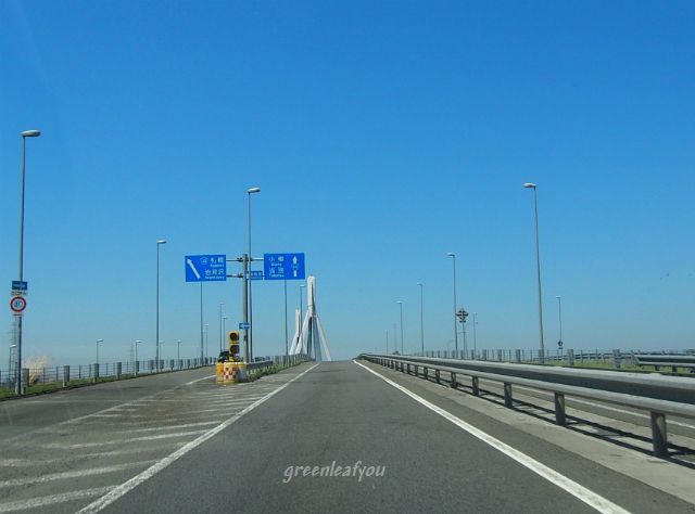 P5130028