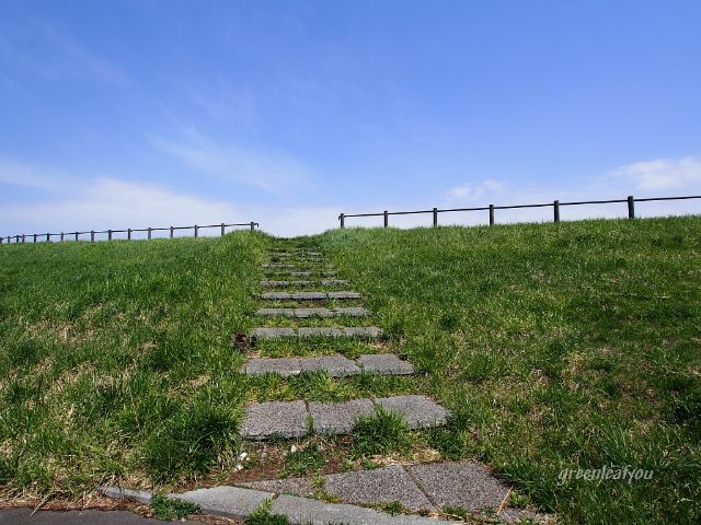 P5050018