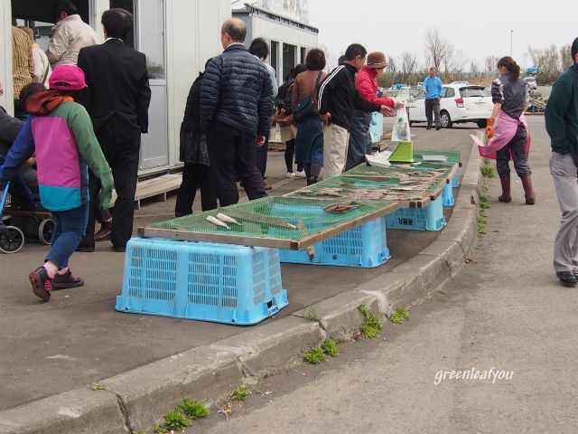 P5050010