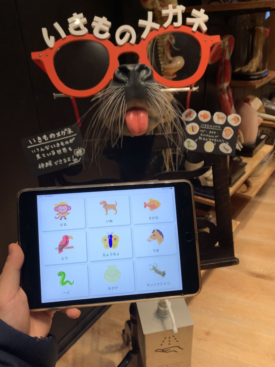 いきものメガネ グリーンパーク動物病院スタッフブログ