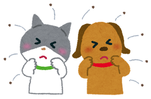 ノミアレルギー