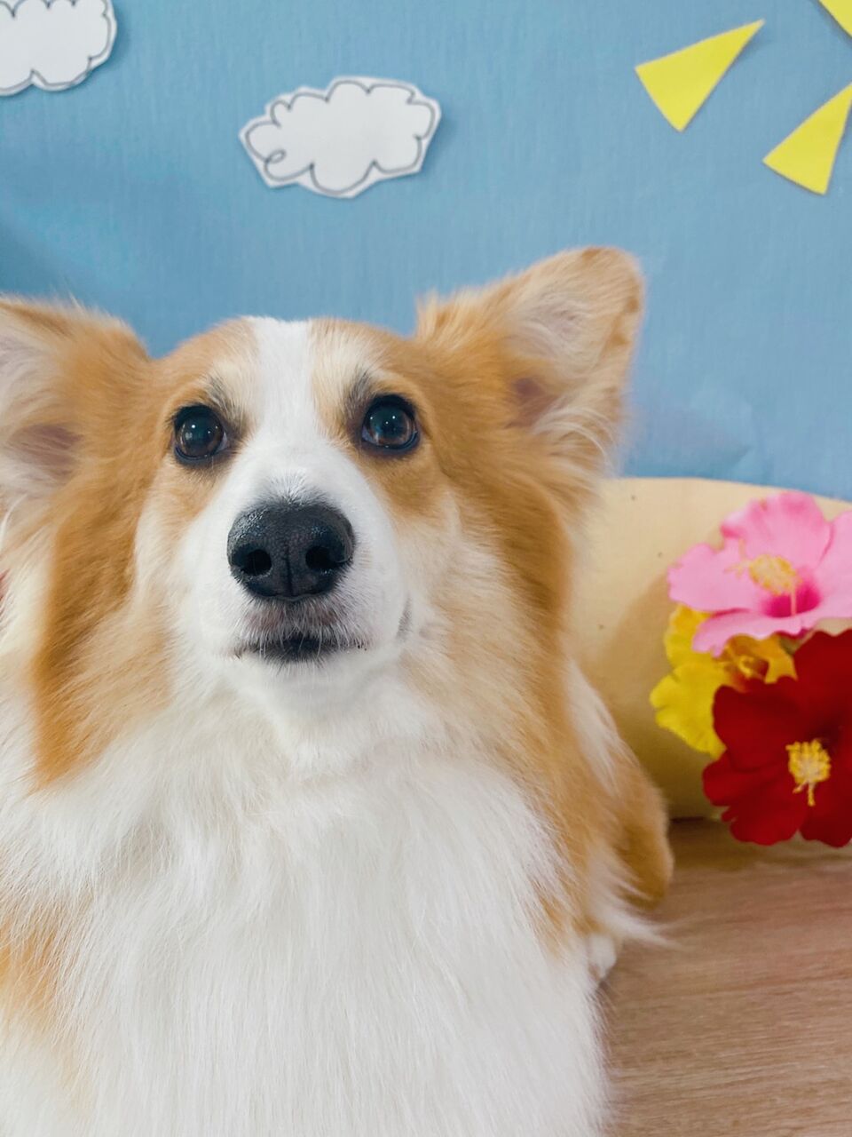 本日から グリーンパーク動物病院スタッフブログ