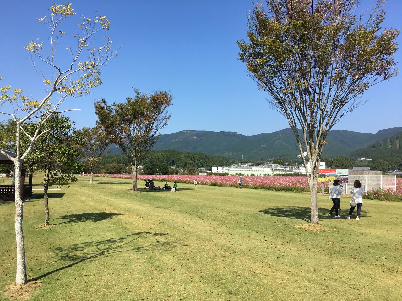 CF4A5667-AA25-423C-8461-770927FAC3C7