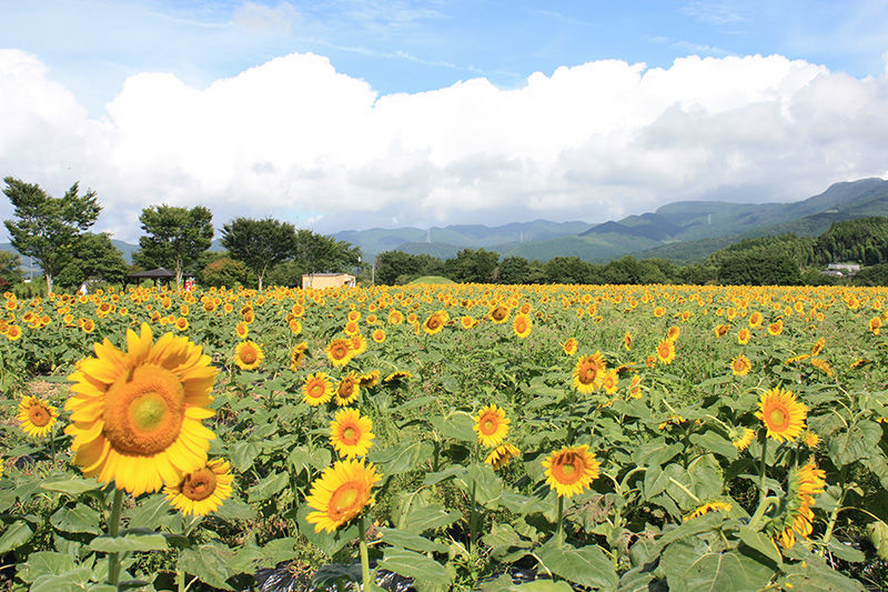 71DC18AA-92E1-4B45-A0DB-84B38A86E0E8