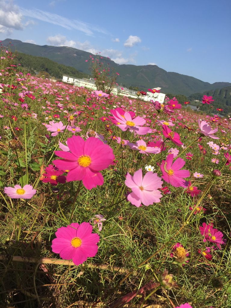 B072A075-EB00-4E35-B44B-F19002B02284