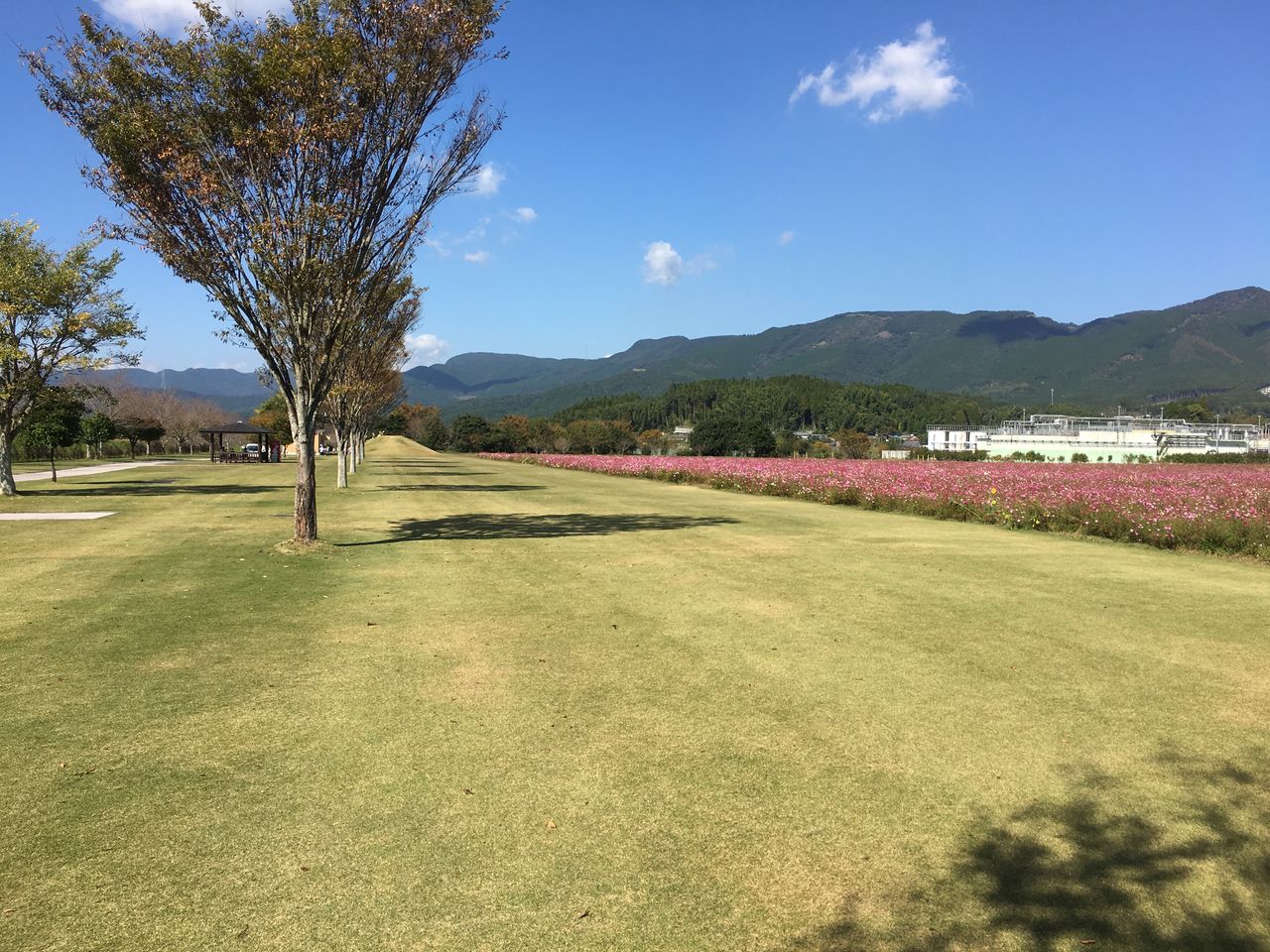 0DBF2A5C-02C3-4C92-B982-EB206BC818A1