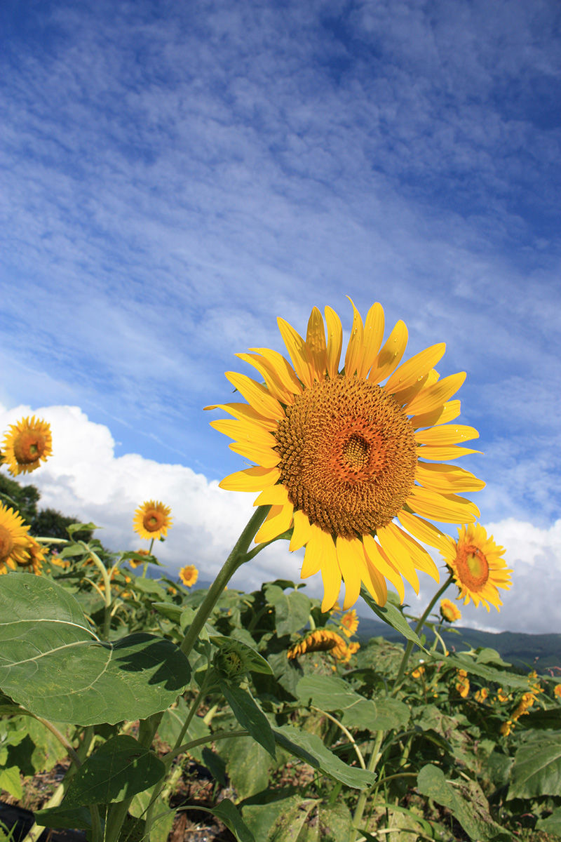 E6D367B3-CC15-408F-94A7-176BCC2469D2