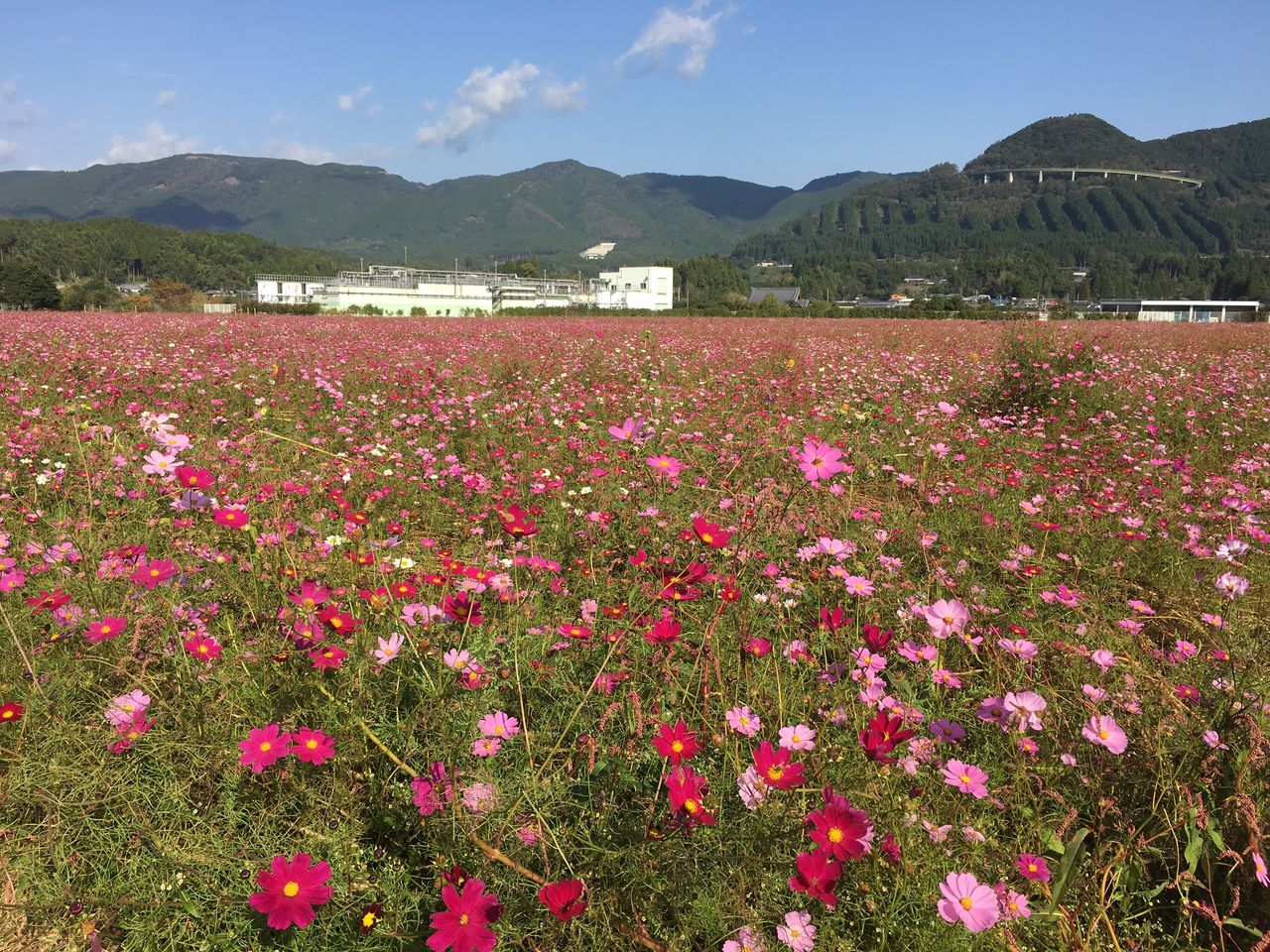 8AC7B348-7EE2-4381-8CF2-731170CDD697