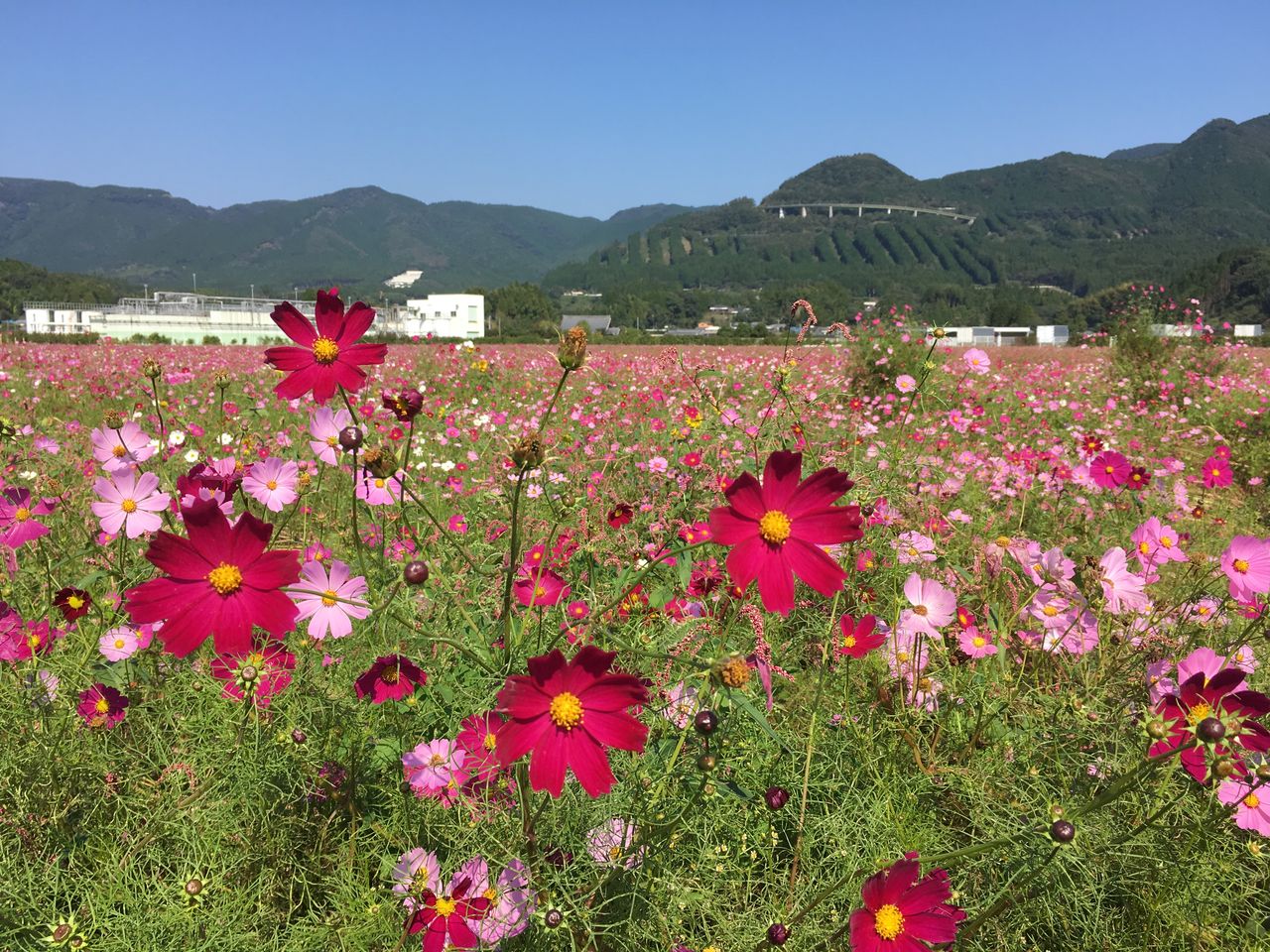 2F522A06-744C-44B7-8695-40C0C2EDDD9C