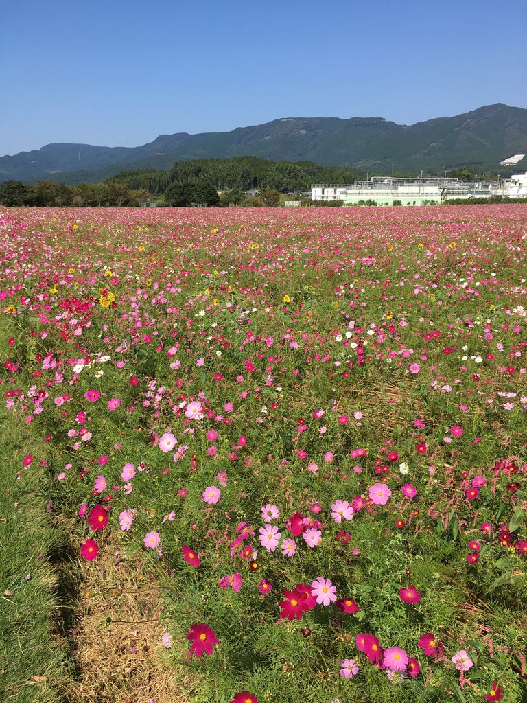 4A07682A-F049-418D-AAD8-ED36F5AED588