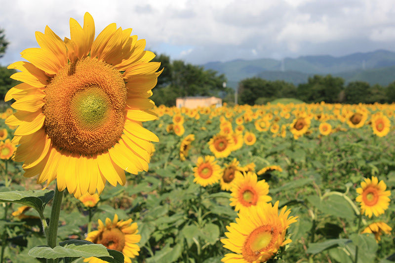 6CFAA6B2-3255-4157-A791-51EDE1D1161A