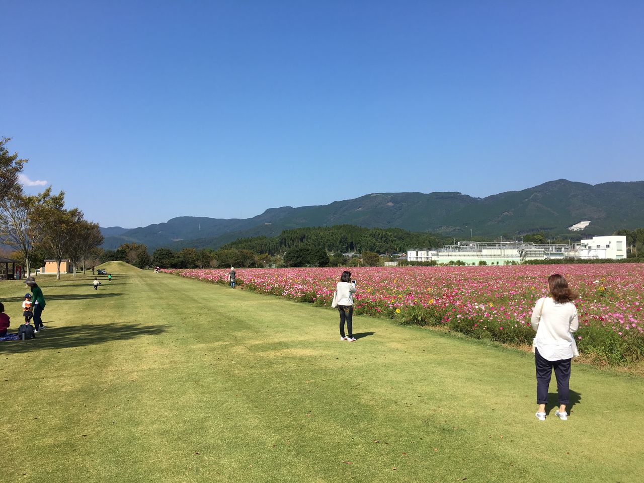 6BBA87F0-122B-4A50-8FC4-16595BB7B23E