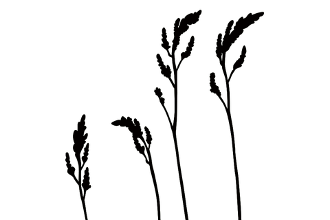 reaf004B