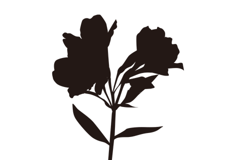 hana009B