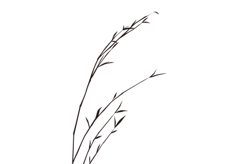 reaf002B