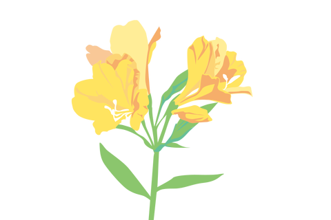 hana009