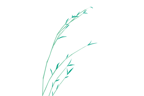 reaf002