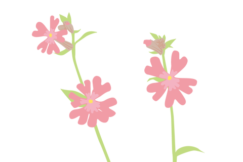 hana003