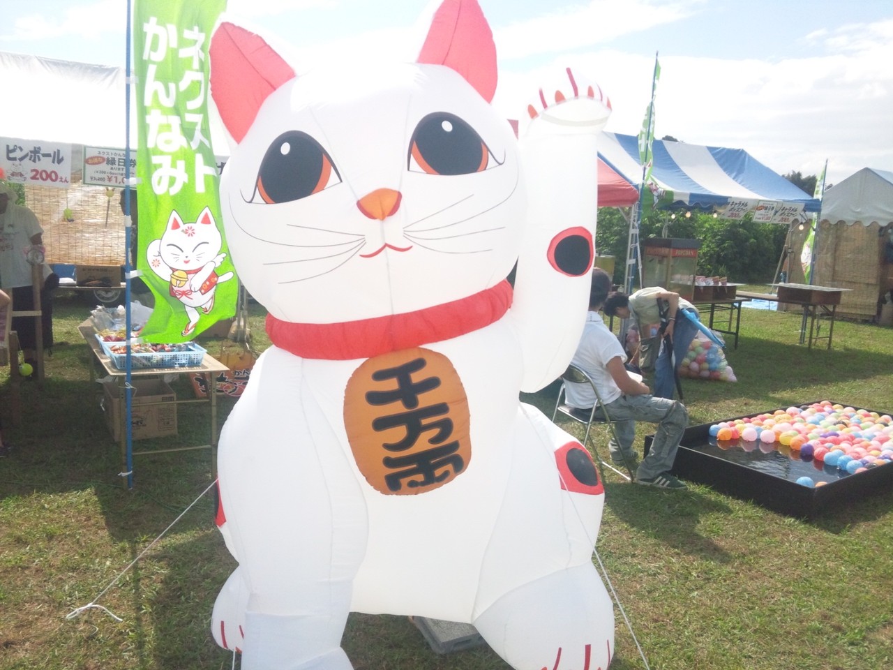 函南猫おどり Grenと小町な日々 函南猫おどり Grenと小町な日々