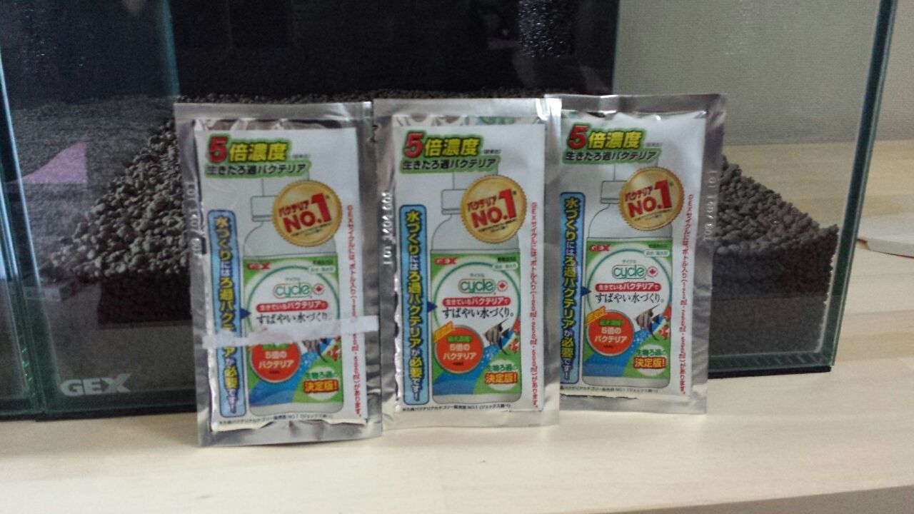 エビ三昧な1日 ぐりおのひとりごと エビ三昧な1日 ぐりおのひとりごと