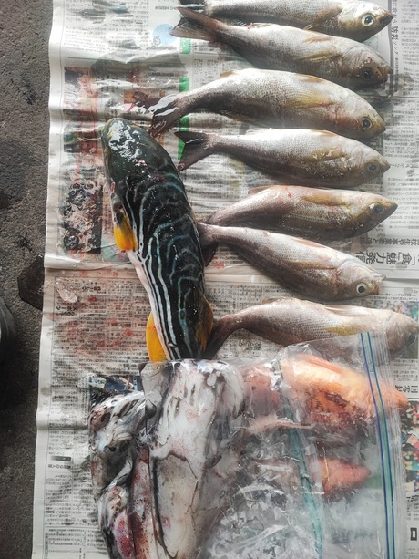 IMG_20250714_094051_1