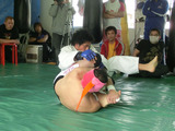 CIMG9239