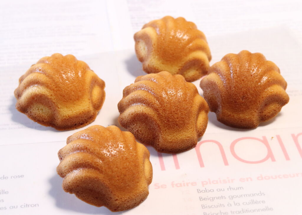 通信レッスン 深型マドレーヌ 4種類 お菓子のｄｉａｒｙ