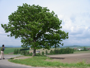 ���֥󥹥���