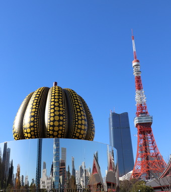 IMG_3503ブログ