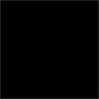 black album